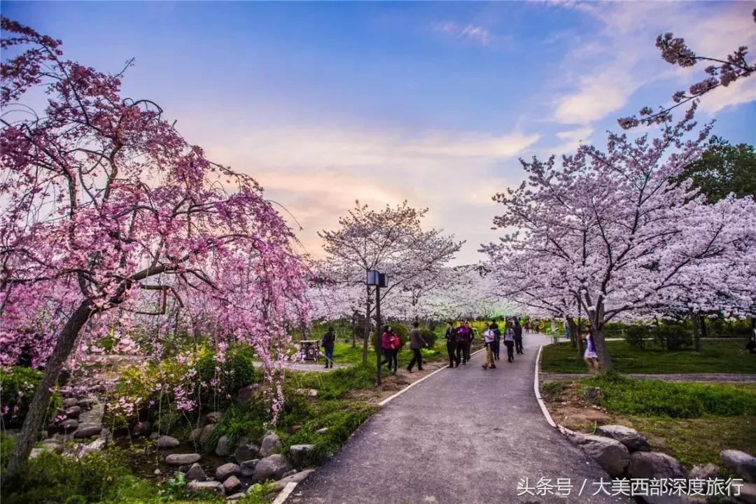 大连英歌石植物园赏花时间表,2022常州公园赏花时间表