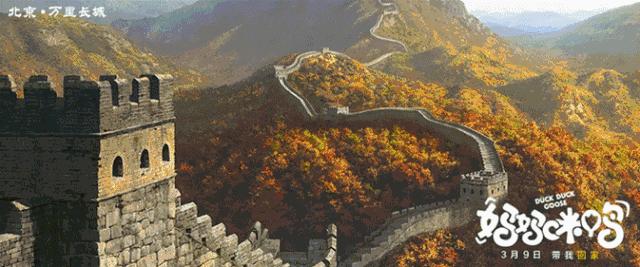 适合陪孩子看的10部大电影,2023年适合陪孩子看的电影