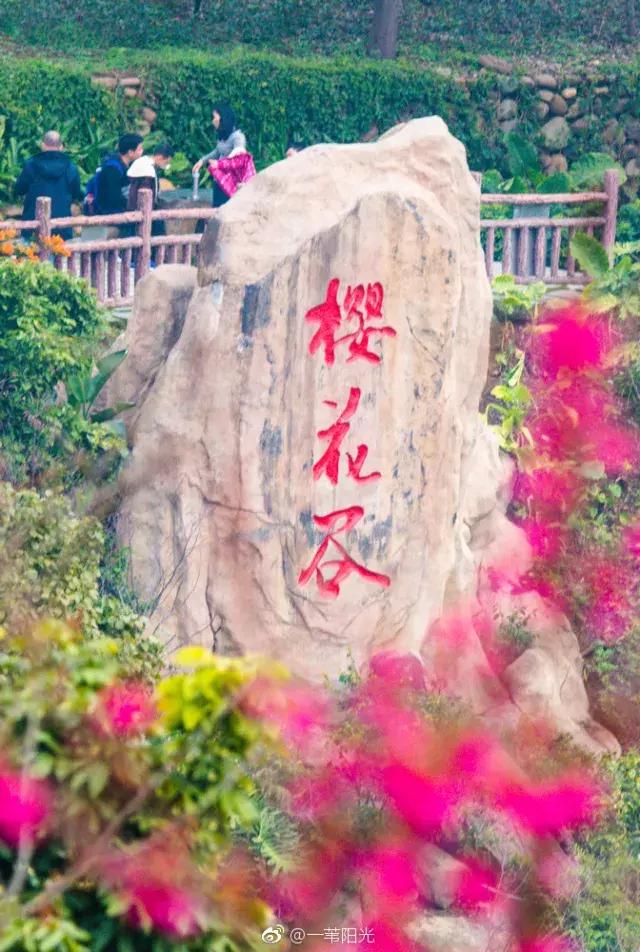 厦门大降温最新消息,厦门升温时间表