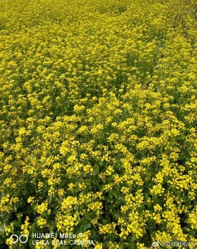 厦门大降温最新消息,厦门升温时间表