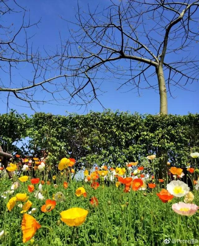 厦门大降温最新消息,厦门升温时间表