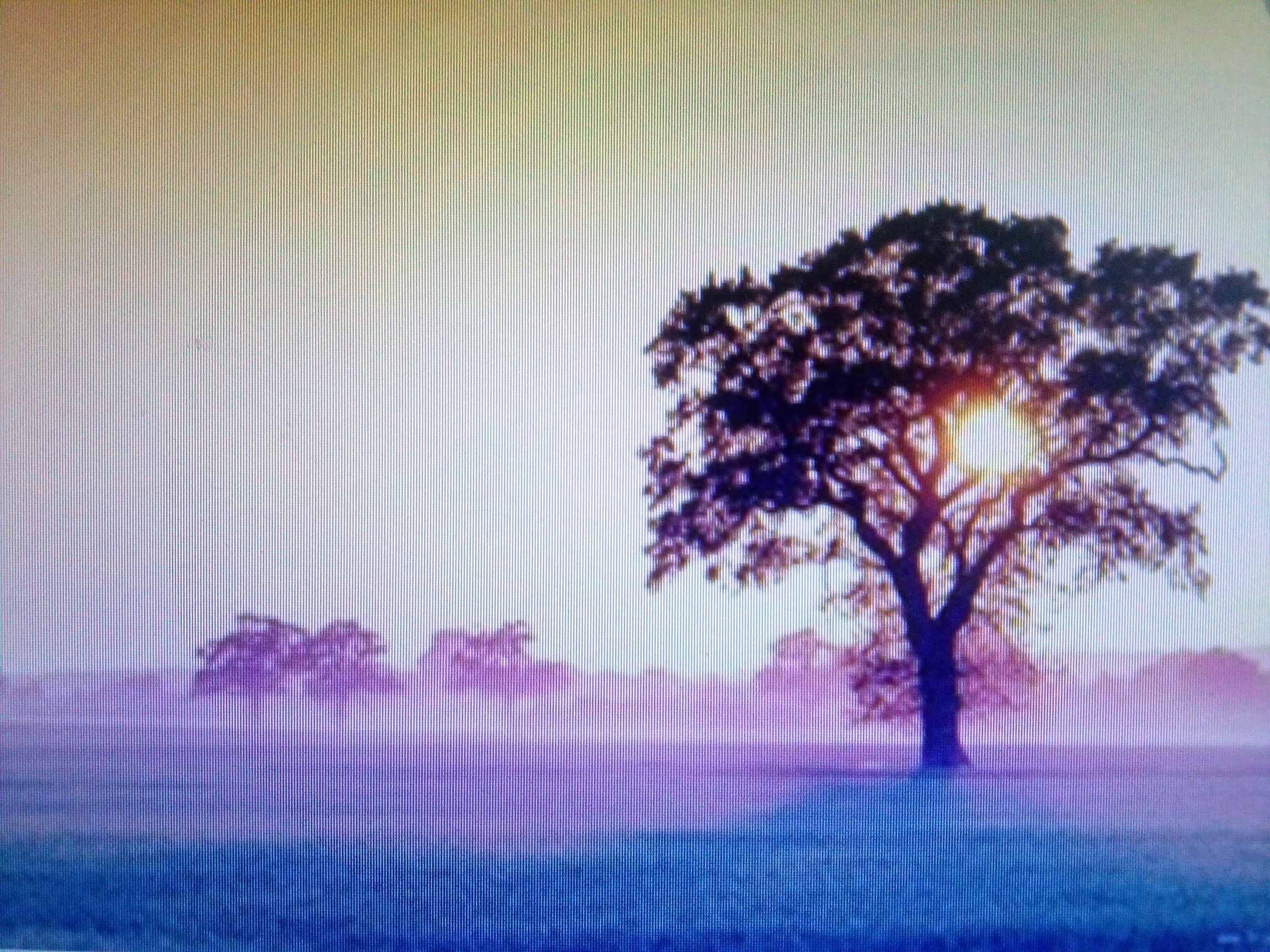 易经干货知识,周易十神知识讲解全集视频