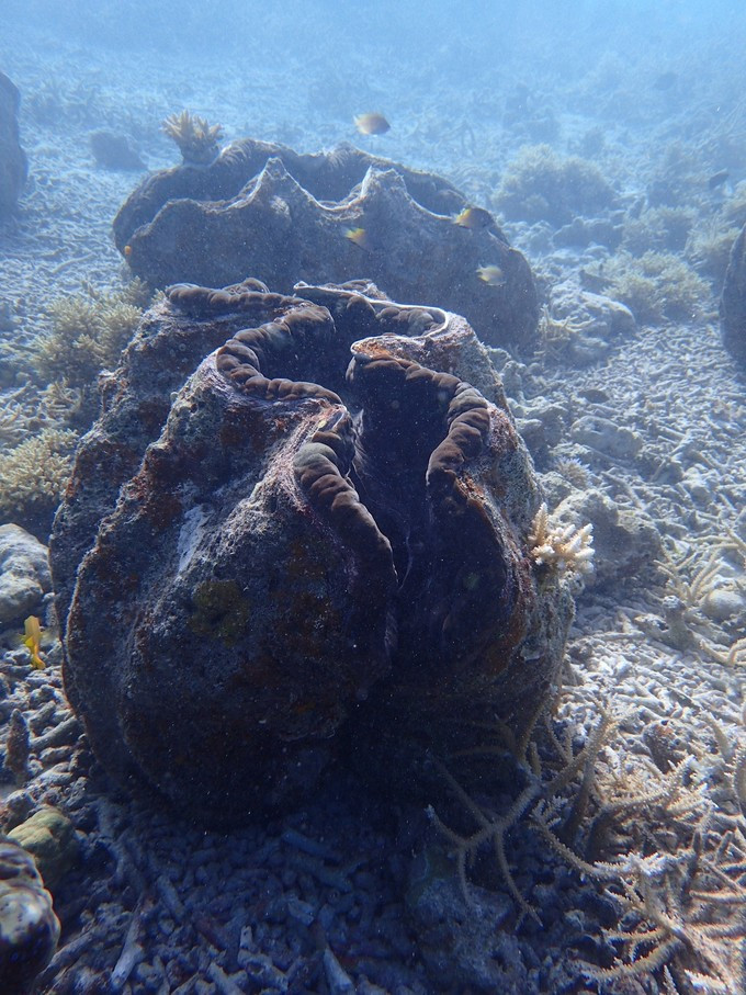 蜜月短途旅行,蜜月旅行遇见朋友闺蜜