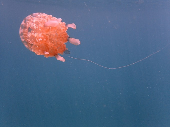 蜜月短途旅行,蜜月旅行遇见朋友闺蜜