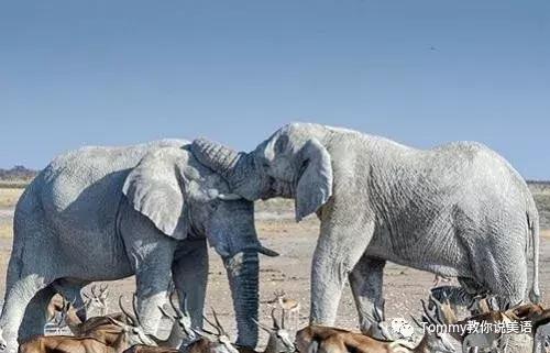 千万不要把英文翻译过来,千万不要把英文歌翻译成中文翻译