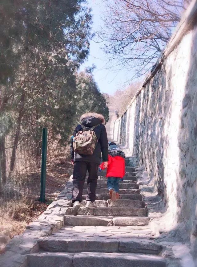 悟空猪八戒唐僧沙和尚,悟空唐僧八戒沙和尚