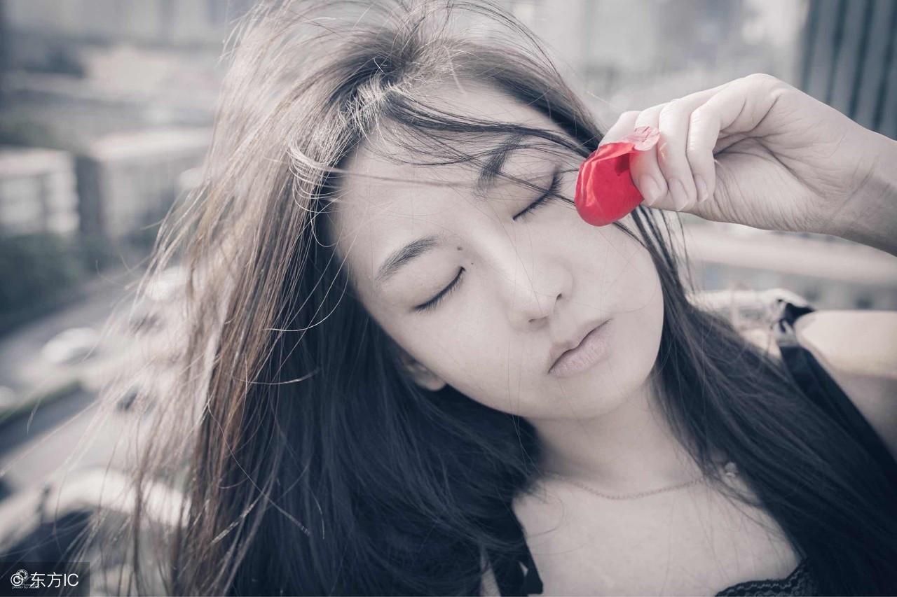 花一年工资养了只企鹅,居然在家养了一只小企鹅