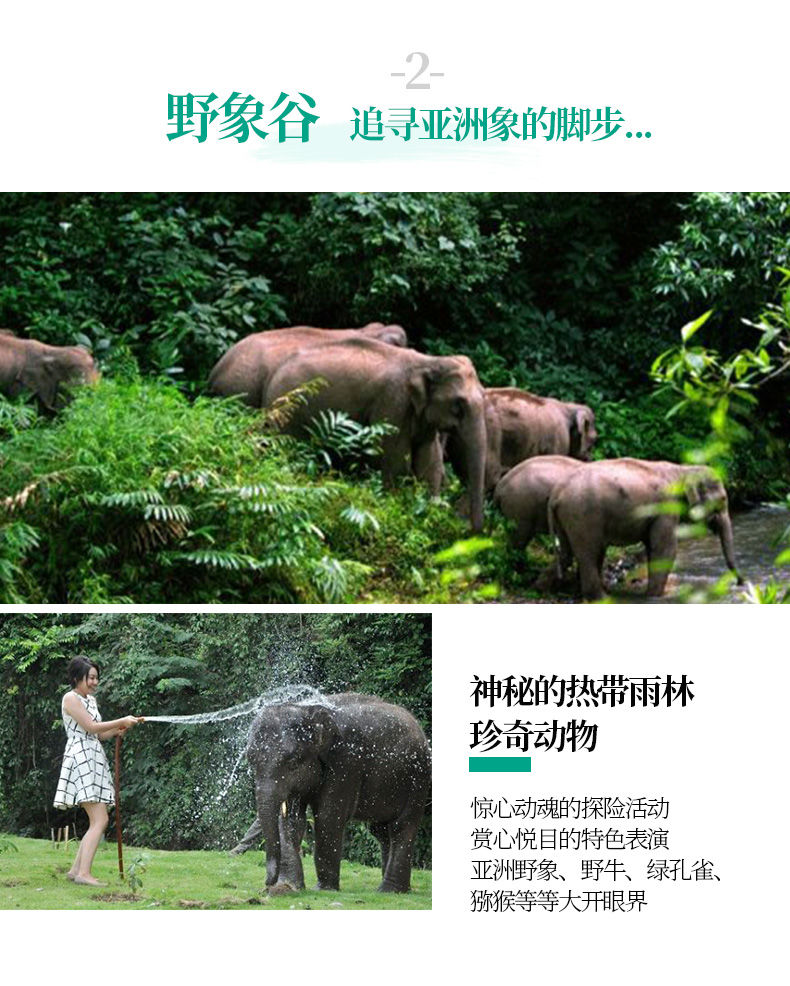 西双版纳5天4晚特色游,西双版纳团购套票2人5天4夜自由行