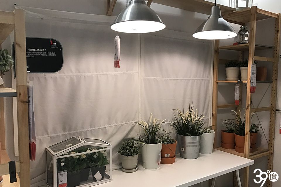 荣耀畅玩7x详细评测,荣耀畅玩7x评测