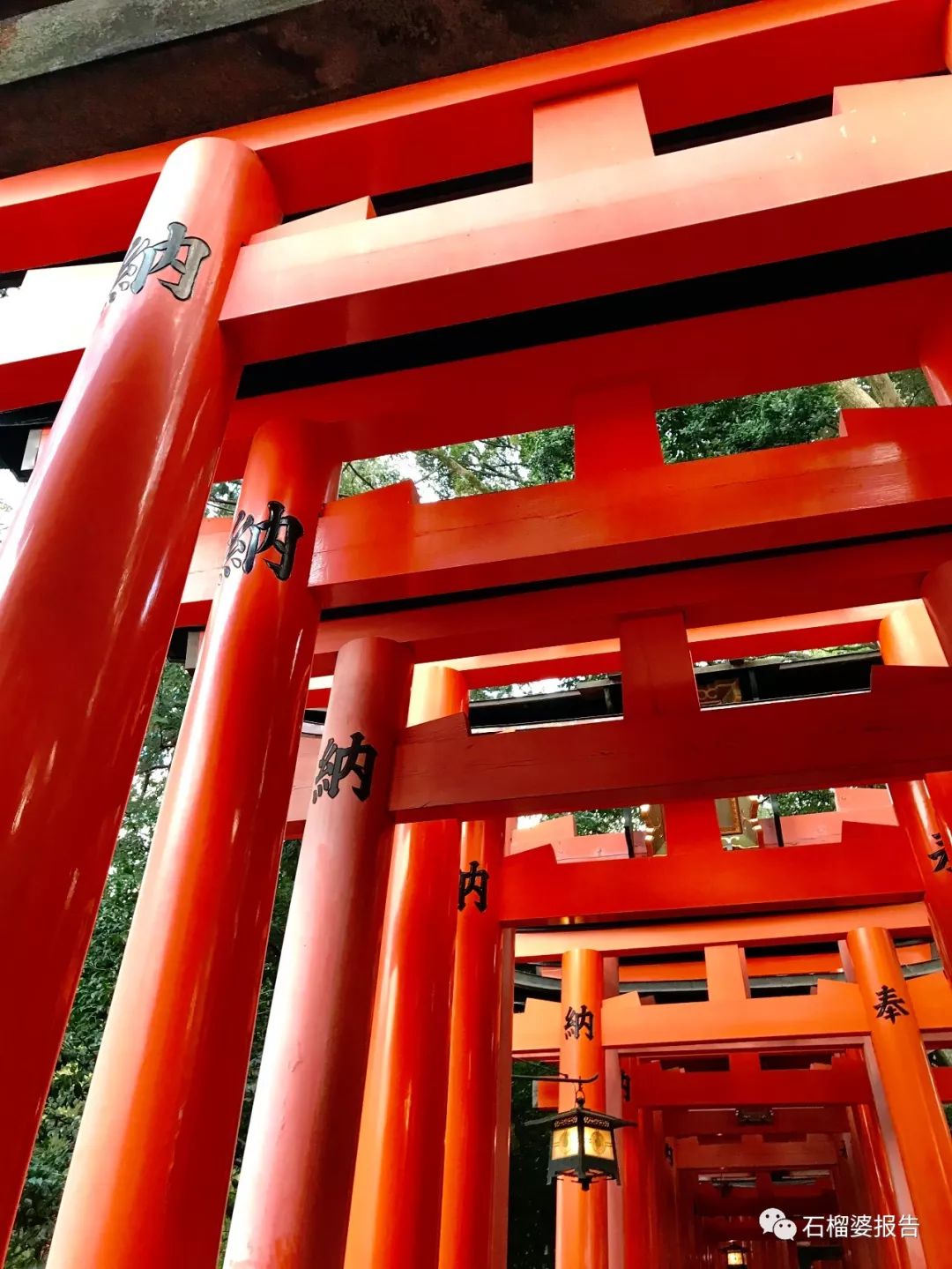 四世同堂一日游,四代同堂去旅游