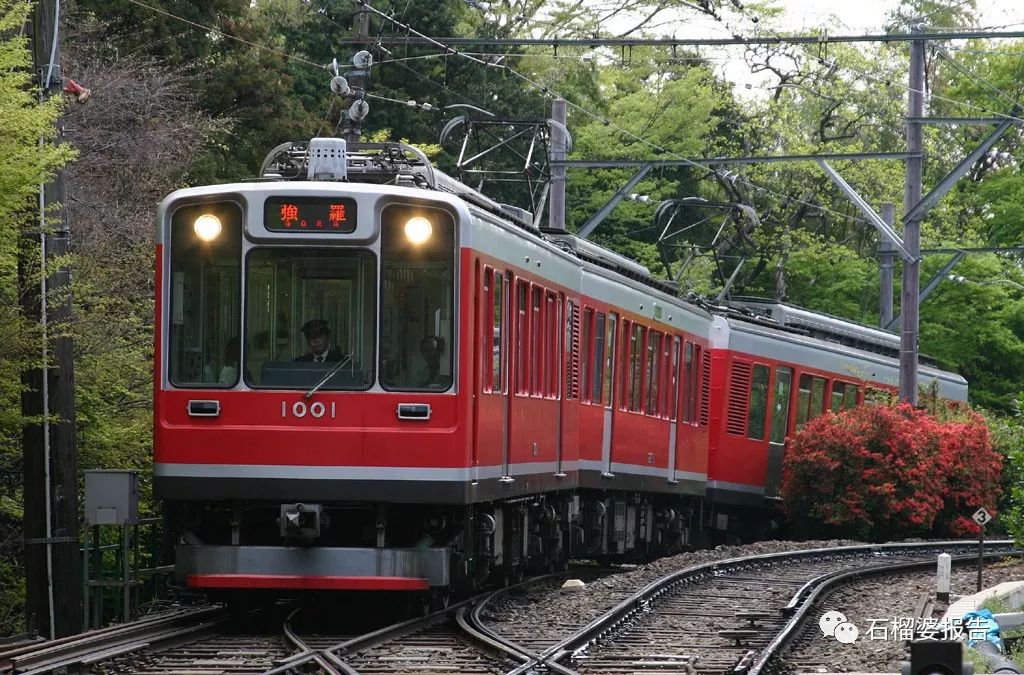 四世同堂一日游,四代同堂去旅游