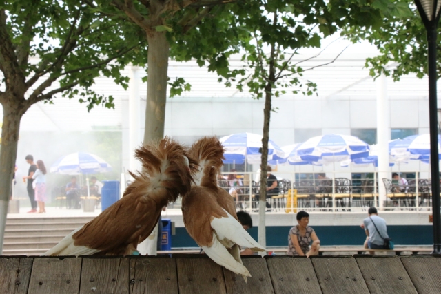 东方时尚以实力铸就品牌,东方时尚