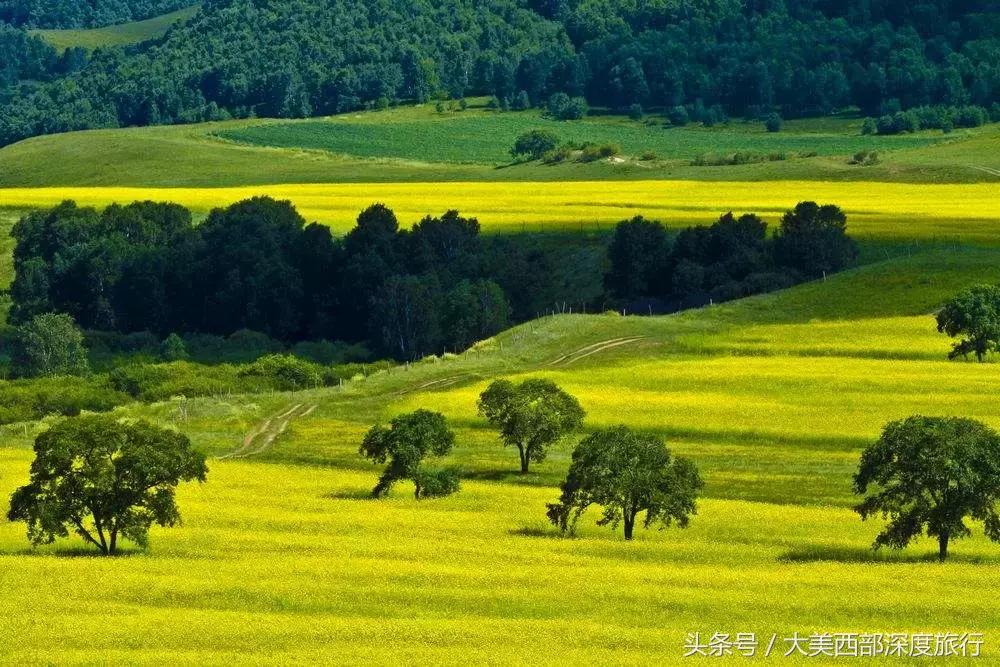 大连英歌石植物园赏花时间表,2022常州公园赏花时间表