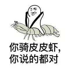 有几个靠谱的小伙伴有多重要?看看虎企鹅的奇妙经历就知道了