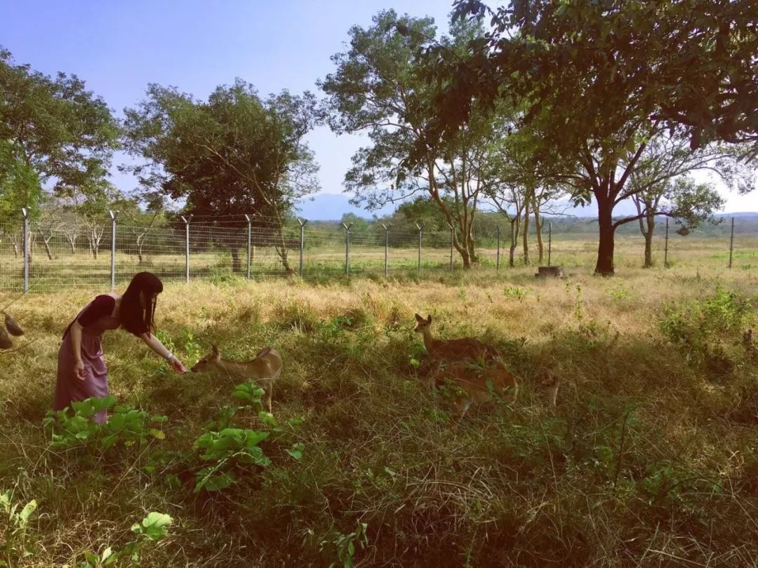 吹手报告|那些不上班的写作者