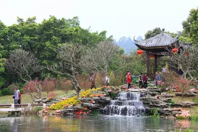 还没看的景点,大夫山最美景色