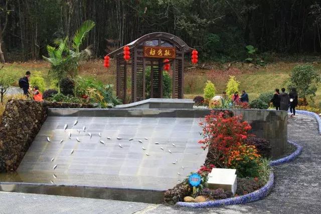 还没看的景点,大夫山最美景色