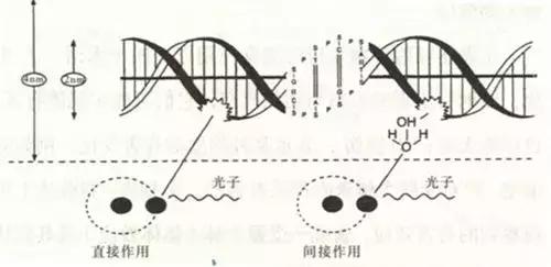 哪个牌子的蓝莓酱健康安全,老爸评测放射性蓝莓酱