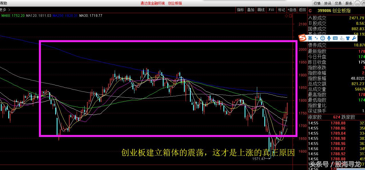 创业板大涨近4%后市又该如何,创业板连续大涨说明什么