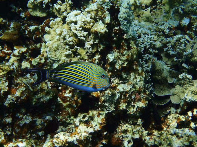 蜜月短途旅行,蜜月旅行遇见朋友闺蜜