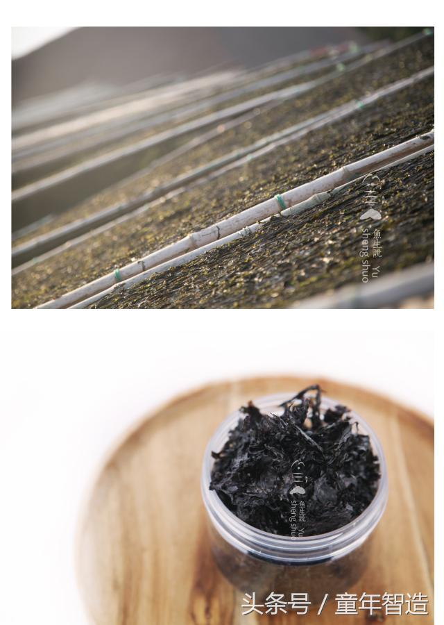 海洋被污染之后怎么补碘,海洋污染dha