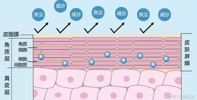 孕期妈妈们的营养指南注意查收,孕期宝妈的护肤步骤是什么