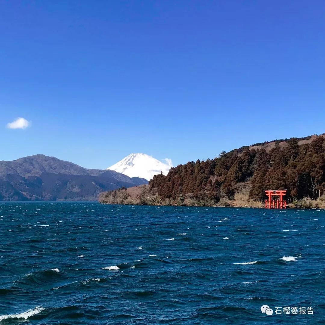 四世同堂一日游,四代同堂去旅游