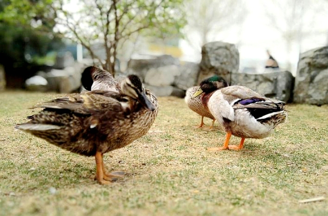 东方时尚以实力铸就品牌,东方时尚