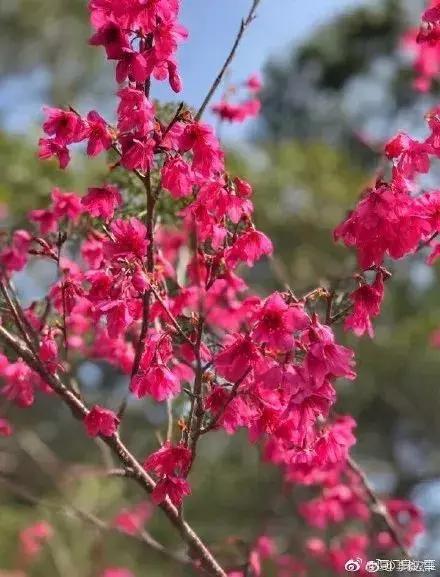 厦门大降温最新消息,厦门升温时间表