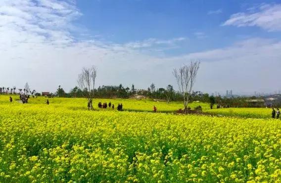 厦门大降温最新消息,厦门升温时间表