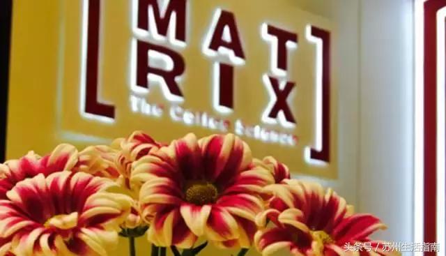 在苏州这些小众下午茶店里,享受最甜蜜的慢生活……