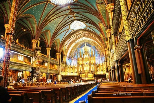 黑胡桃木家具价格为啥差别那么大,黑胡桃木家具和乌金木家具哪种好