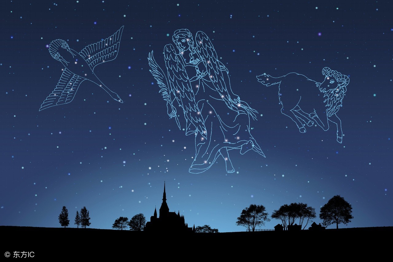 论语精读100个问题,论语高级解读