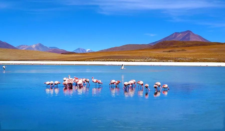 适合一个人去的9个小众旅行地,80个特色旅游活动