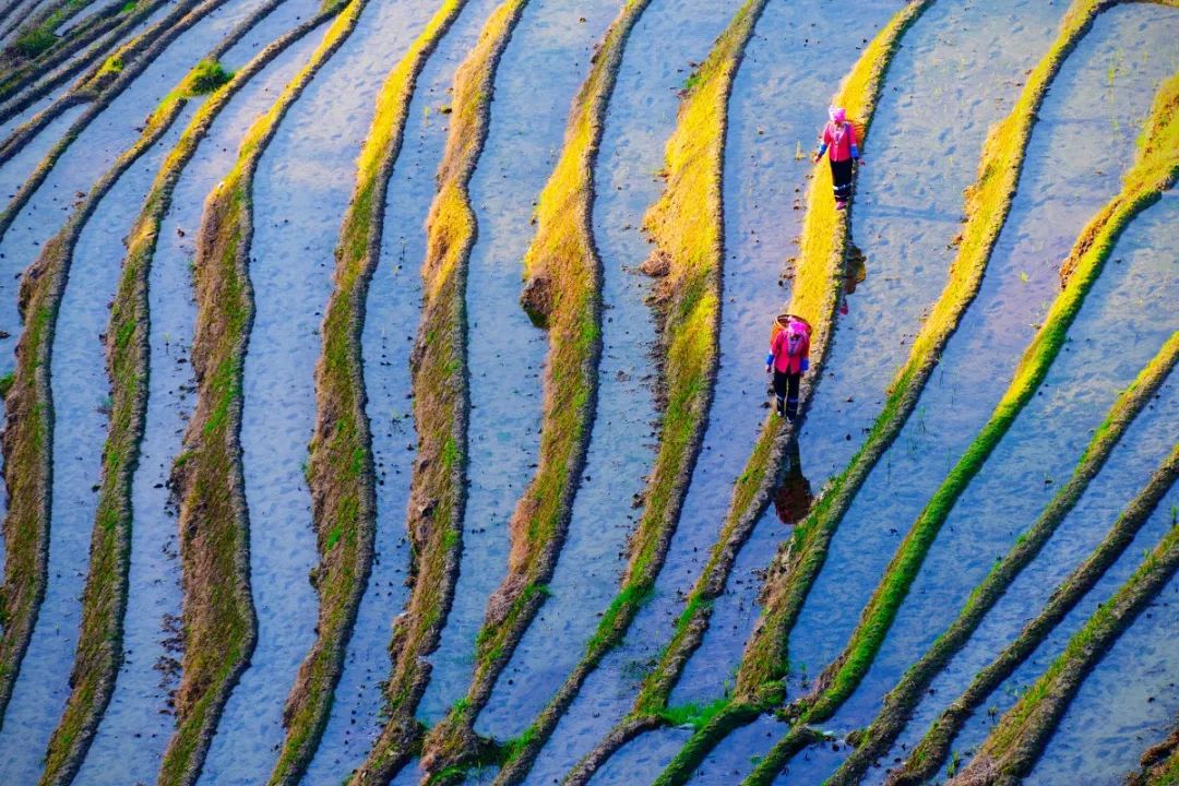 适合一个人去的9个小众旅行地,80个特色旅游活动