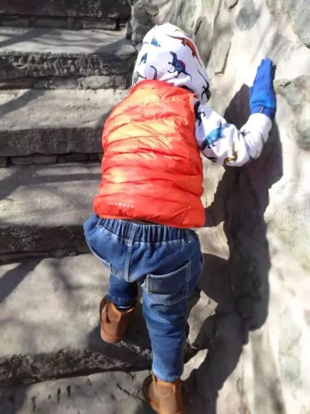 悟空猪八戒唐僧沙和尚,悟空唐僧八戒沙和尚