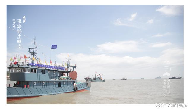 海洋被污染之后怎么补碘,海洋污染dha