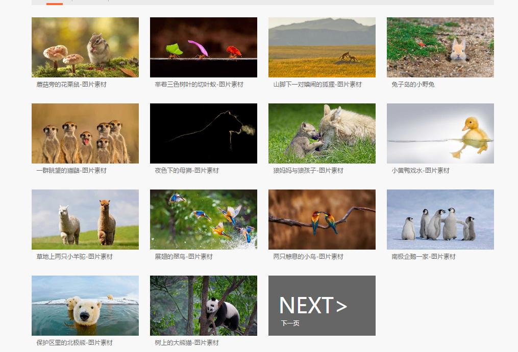 wordpptexcel文档的基础教程,excel数据自动录入word模板