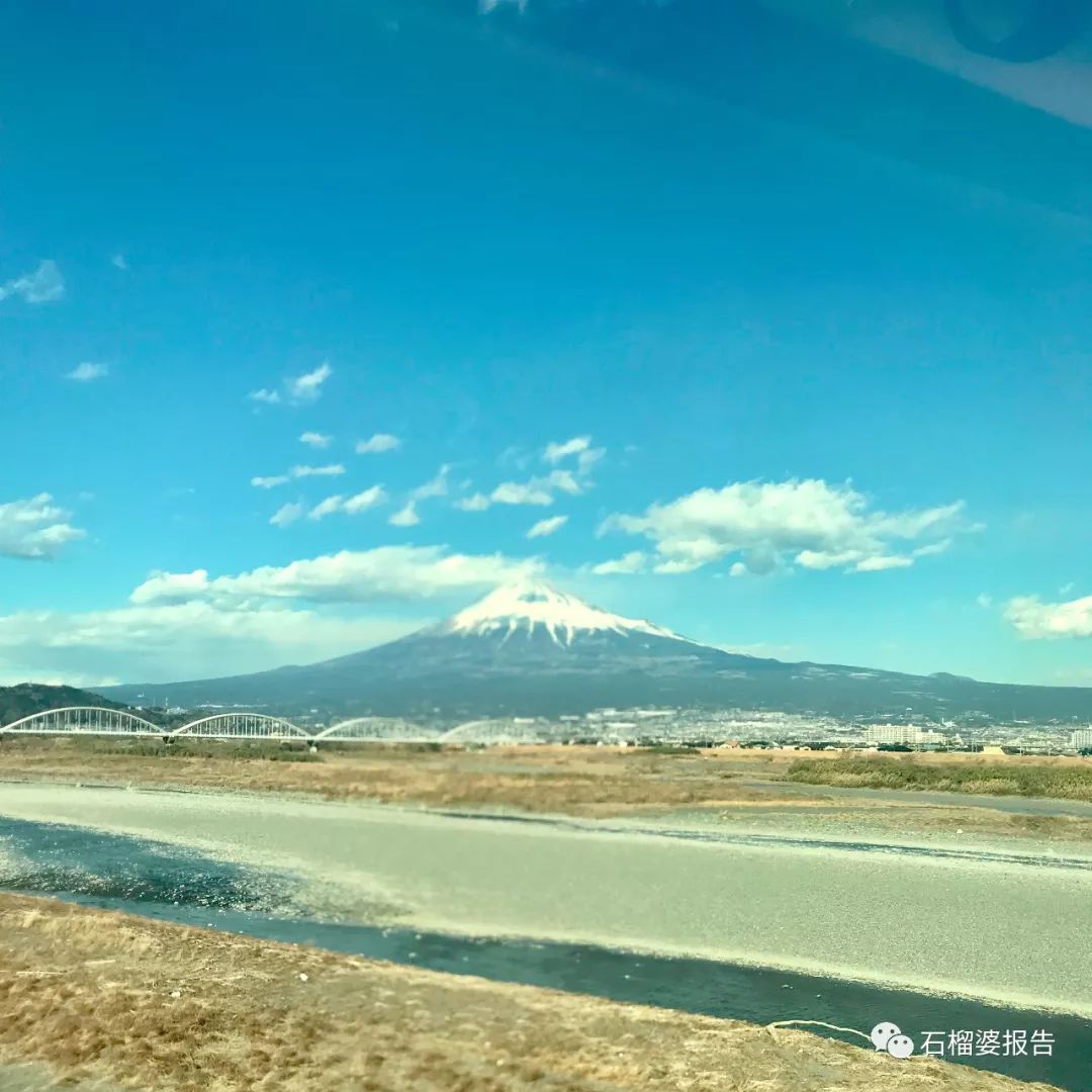 四世同堂一日游,四代同堂去旅游