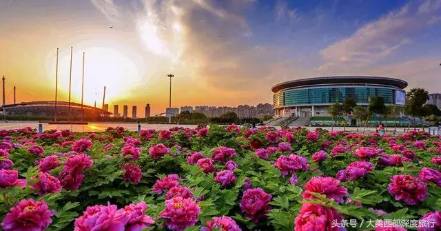 大连英歌石植物园赏花时间表,2022常州公园赏花时间表