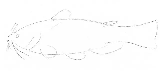 素描入门零基础教程动漫人物,素描入门零基础教程排线握笔