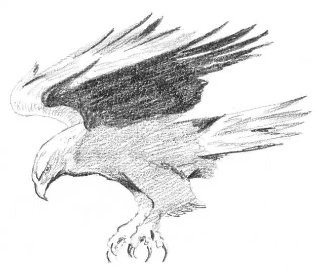 素描入门零基础教程动漫人物,素描入门零基础教程排线握笔