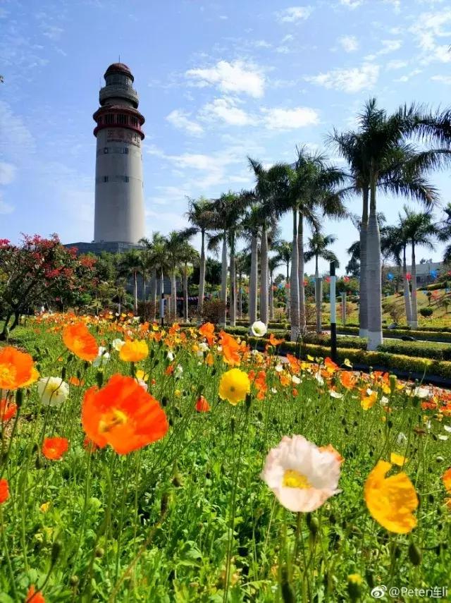 厦门大降温最新消息,厦门升温时间表