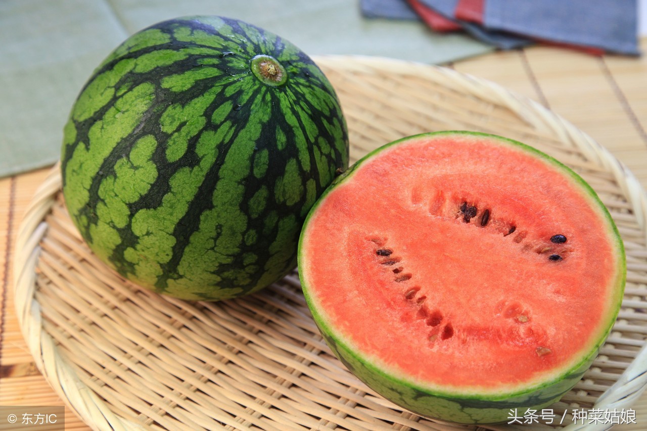 种植西瓜的方法与技术去哪里学,种植小西瓜技巧视频