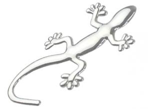 你的车上也贴着壁虎吗?