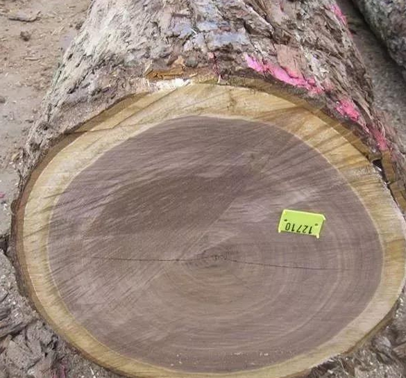 黑胡桃木家具价格为啥差别那么大,黑胡桃木家具和乌金木家具哪种好