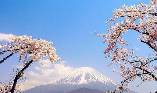 中国学生教训日本留学生原视频,日本留学生打工的建议