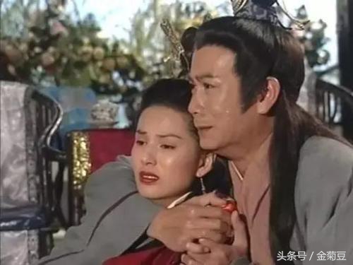 段正淳最狠的六个女人,段正淳的六个女人