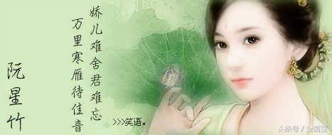 段正淳最狠的六个女人,段正淳的六个女人