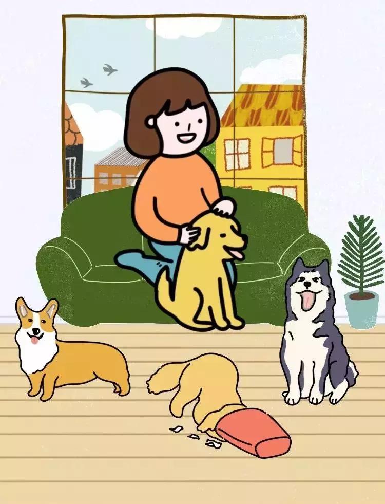 撒狗粮意思是,撒狗粮为什么不真的撒狗粮